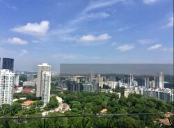 The Scotts Tower (D9), Condominium #560315881